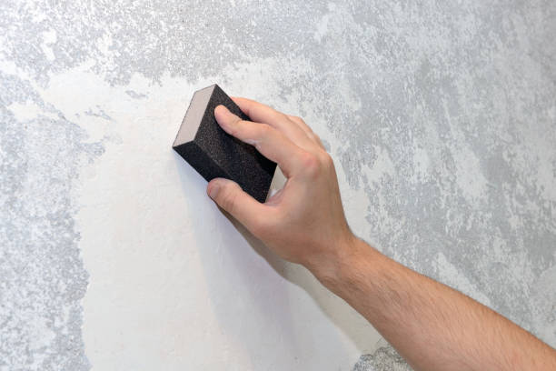 Best Commercial Mold Inspection  in Elwood, KS