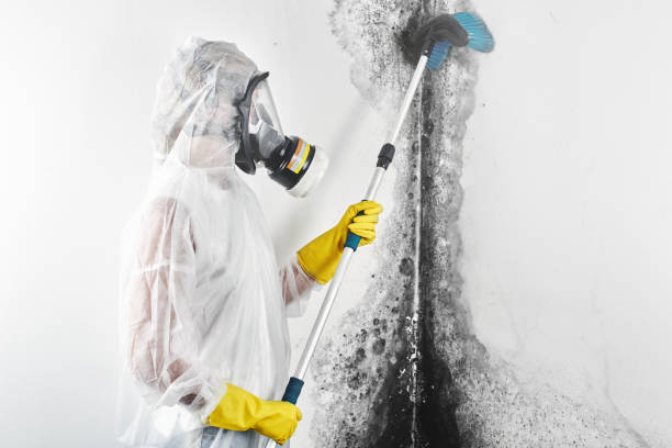 Best HVAC Mold Inspection and Cleaning  in Elwood, KS