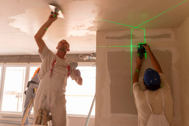 Best Black Mold Removal  in Elwood, KS