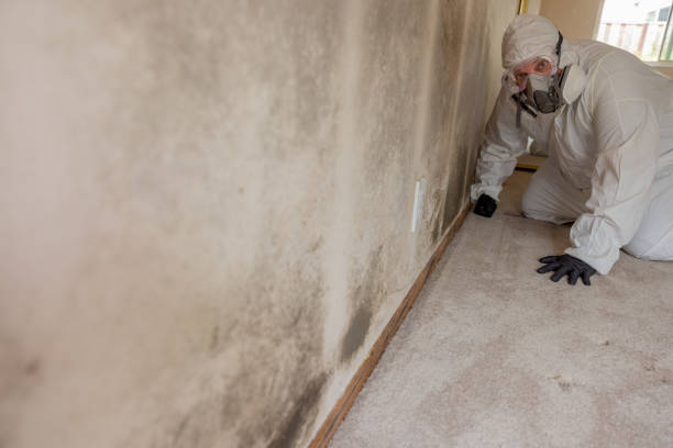 Mold Remediation for Vacation Homes in Elwood, KS