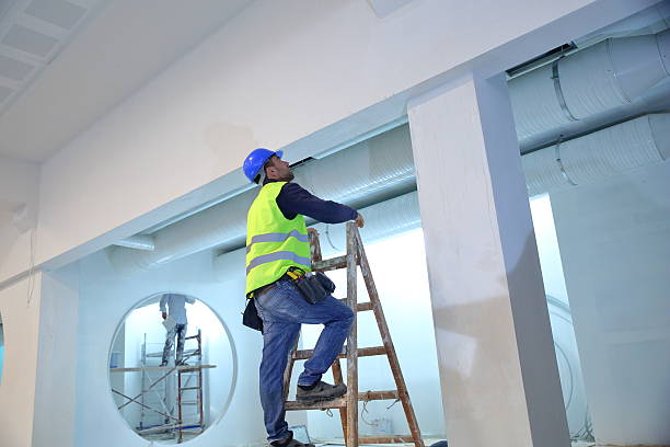 Best Crawl Space Mold Remediation  in Elwood, KS
