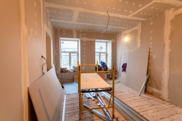 Best Asbestos and Lead Testing During Mold Inspection  in Elwood, KS